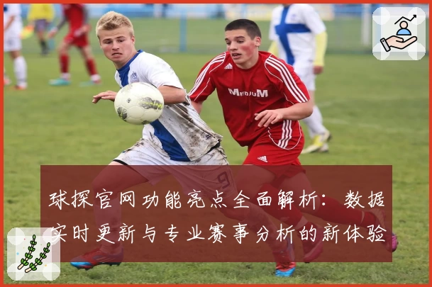 球探官网功能亮点全面解析：数据实时更新与专业赛事分析的新体验