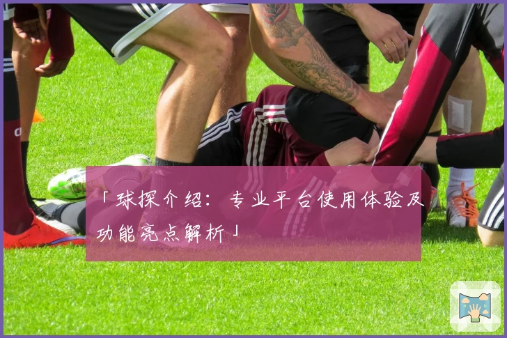 「球探介绍：专业平台使用体验及功能亮点解析」