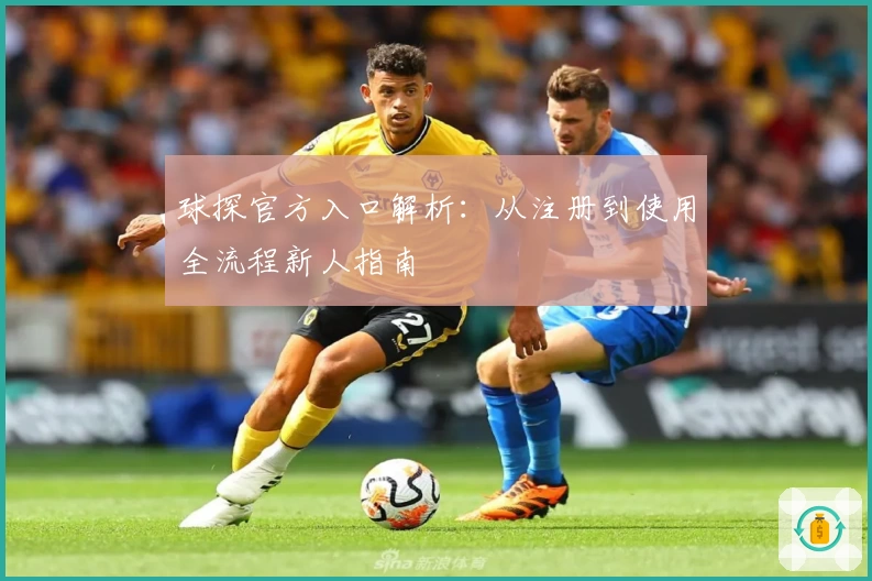 球探官方入口解析：从注册到使用全流程新人指南