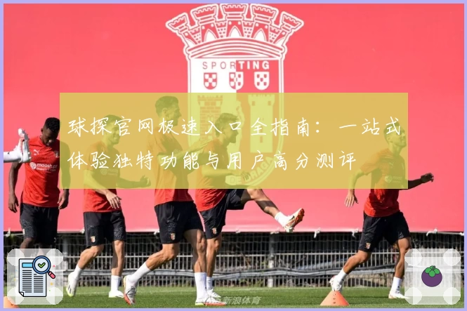 球探官网极速入口全指南：一站式体验独特功能与用户高分测评