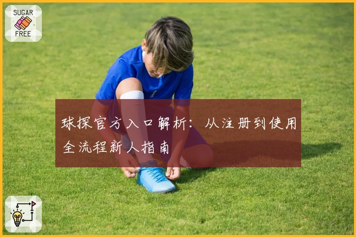 球探官方入口解析：从注册到使用全流程新人指南